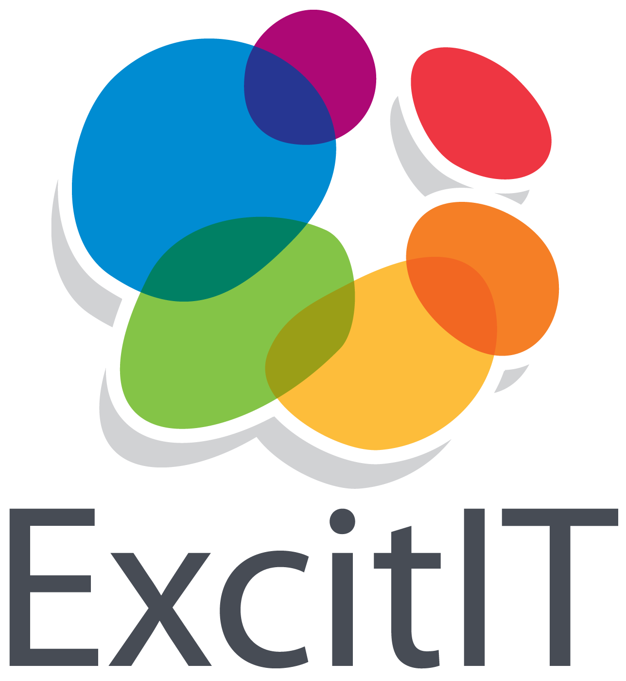 Excitit software consultants